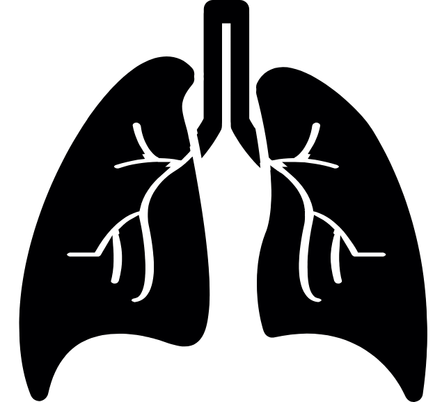 ALTXT